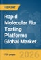 Rapid Molecular Flu Testing Platforms Global Market Report 2026 - Product Thumbnail Image