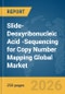 Slide-Deoxyribonucleic Acid (DNA)-Sequencing for Copy Number Mapping Global Market Report 2026 - Product Thumbnail Image