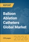 Balloon Ablation Catheters Global Market Report 2026 - Product Thumbnail Image