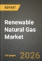 Renewable Natural Gas Market Outlook 2026-2034: Market Share and Growth Analysis - Product Thumbnail Image