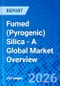 Fumed (Pyrogenic) Silica - A Global Market Overview - Product Thumbnail Image