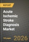 Acute Ischemic Stroke Diagnosis Market Outlook 2026-2034: Market Share and Growth Analysis by Diagnostic Technology, AI Software Function, Care Setting, End User - Product Thumbnail Image