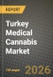 Turkey Medical Cannabis Market Outlook 2026-2034: Market Share and Growth Analysis - Product Thumbnail Image