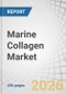 Marine Collagen Market By Type, Source, Marine Animal, Application, Extraction Process, and Region - Global Forecast to 2031 - Product Thumbnail Image