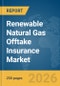 Renewable Natural Gas (RNG) Offtake Insurance Market Report 2026 - Product Thumbnail Image