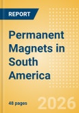 Permanent Magnets in South America- Product Image