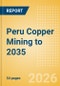 Peru Copper Mining to 2035 - Product Thumbnail Image