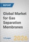 Global Market for Gas Separation Membranes - Product Thumbnail Image