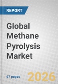 Global Methane Pyrolysis Market- Product Image