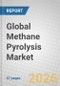 Global Methane Pyrolysis Market - Product Thumbnail Image