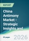 China Antimony Market - Strategic Insights and Forecasts (2026-2031) - Product Thumbnail Image