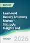 Lead-Acid Battery Antimony Market - Strategic Insights and Forecasts (2026-2031) - Product Thumbnail Image