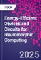 Energy-Efficient Devices and Circuits for Neuromorphic Computing - Product Thumbnail Image