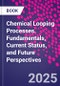 Chemical Looping Processes. Fundamentals, Current Status, and Future Perspectives - Product Thumbnail Image