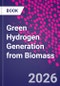 Green Hydrogen Generation from Biomass - Product Thumbnail Image
