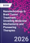 Nanotechnology in Brain Tumor Treatment. Unveiling Molecular Mechanisms and Pioneering Therapies - Product Image
