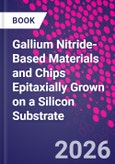 Gallium Nitride-Based Materials and Chips Epitaxially Grown on a Silicon Substrate- Product Image