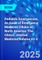 Pediatric Emergencies, An Issue of Emergency Medicine Clinics of North America. The Clinics: Internal Medicine Volume 43-4 - Product Image