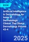 Artificial Intelligence in Dermatology, An Issue of Dermatologic Clinics. The Clinics: Dermatology Volume 43-4 - Product Thumbnail Image