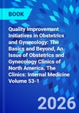 Quality Improvement Initiatives in Obstetrics and Gynecology: The Basics and Beyond, An Issue of Obstetrics and Gynecology Clinics of North America. The Clinics: Internal Medicine Volume 53-1- Product Image