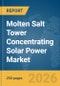 Molten Salt Tower Concentrating Solar Power (CSP) Market Report 2026 - Product Thumbnail Image