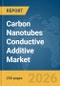 Carbon Nanotubes (CNT) Conductive Additive Market Report 2026 - Product Thumbnail Image