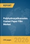 Polyhydroxyalkanoates (PHA) Coated Paper Film Market Report 2026 - Product Thumbnail Image