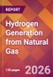 Hydrogen Generation from Natural Gas - Product Thumbnail Image