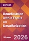Beneficiation with a Focus on Desulfurization - Product Image
