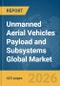Unmanned Aerial Vehicles (UAV) Payload and Subsystems Global Market Opportunities and Strategies to 2035 - Product Image