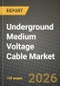Underground Medium Voltage Cable Market Outlook 2026-2034: Market Share, and Growth Analysis by voltage level (less than 18 kV and 18 KV to 36 KV), Application, Insulation - Product Thumbnail Image