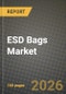 ESD Bags Market Outlook 2026-2034: Market Share, and Growth Analysis - Product Thumbnail Image