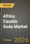 Africa Caustic Soda Market Outlook 2026-2034: Market Share, and Growth Analysis - Product Thumbnail Image