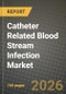 Catheter Related Blood Stream Infection Market Outlook 2026-2034: Market Share, and Growth Analysis - Product Thumbnail Image