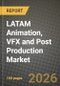 LATAM Animation, VFX and Post Production Market Outlook 2026-2034: Market Share, and Growth Analysis - Product Thumbnail Image