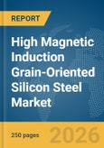 High Magnetic Induction Grain-Oriented Silicon Steel Market Global Report 2026- Product Image