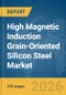 High Magnetic Induction Grain-Oriented Silicon Steel Market Global Report 2026 - Product Thumbnail Image