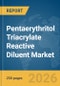 Pentaerythritol Triacrylate (PETA) Reactive Diluent Market Global Report 2026 - Product Thumbnail Image
