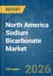North America Sodium Bicarbonate - Market Share Analysis, Industry Trends & Statistics, Growth Forecasts (2026-2031) - Product Thumbnail Image