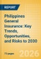 Philippines General Insurance: Key Trends, Opportunities, and Risks to 2030 - Product Thumbnail Image