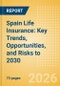 Spain Life Insurance: Key Trends, Opportunities, and Risks to 2030 - Product Thumbnail Image