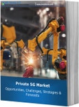Private 5G Market 2026-2030: Opportunities, Challenges, Strategies & Forecasts- Product Image
