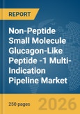 Non-Peptide Small Molecule Glucagon-Like Peptide (GLP)-1 Multi-Indication Pipeline Market Global Report 2026- Product Image