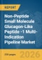 Non-Peptide Small Molecule Glucagon-Like Peptide (GLP)-1 Multi-Indication Pipeline Market Global Report 2026 - Product Thumbnail Image