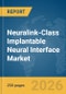 Neuralink-Class Implantable Neural Interface Market Global Report 2026 - Product Thumbnail Image