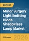 Minor Surgery Light Emitting Diode (LED) Shadowless Lamp Market Global Report 2026 - Product Thumbnail Image