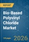 Bio-Based Polyvinyl Chloride - Market Share Analysis, Industry Trends & Statistics, Growth Forecasts (2026-2031) - Product Thumbnail Image