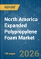 North America Expanded Polypropylene Foam - Market Share Analysis, Industry Trends & Statistics, Growth Forecasts (2026-2031) - Product Thumbnail Image