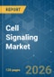 Cell Signaling - Market Share Analysis, Industry Trends & Statistics, Growth Forecasts (2026-2031) - Product Thumbnail Image