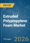 Extruded Polypropylene (XPP) Foam - Market Share Analysis, Industry Trends & Statistics, Growth Forecasts (2026-2031) - Product Thumbnail Image